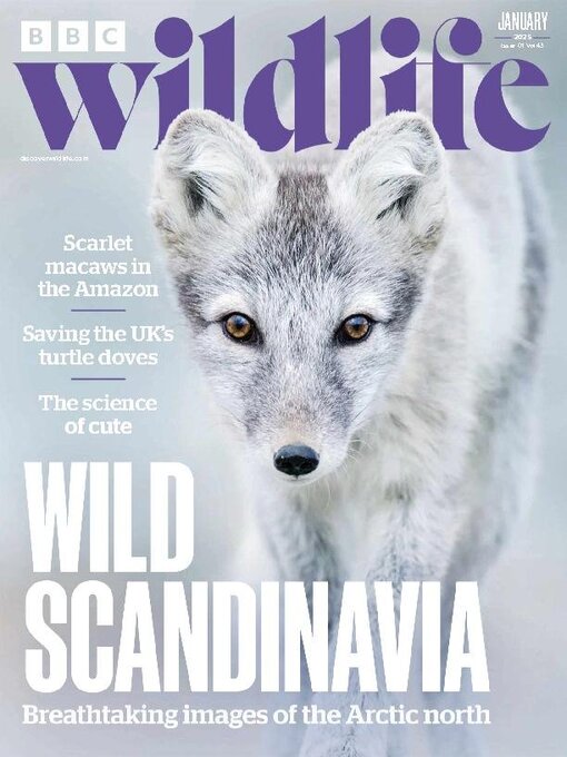 Title details for BBC Wildlife Magazine by Our Media Limited - Available